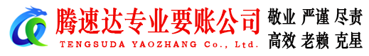 南漳腾速达清债公司
